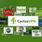 cactusvpn review
