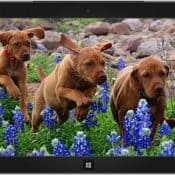 best windows 10 themes