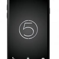 Canvas Silver 5