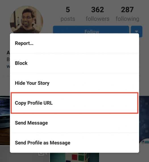 How To Download Or View Instagram Profile Picture Of Others In Full Size