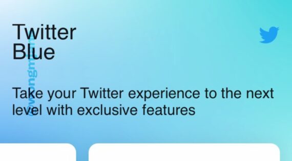Twitter Blue