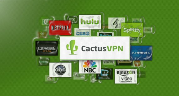 cactusvpn review