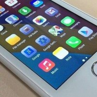 Freedom 251