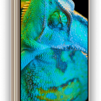 Coolpad Note 5