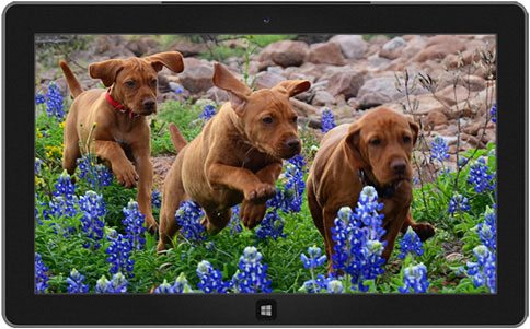 best windows 10 themes